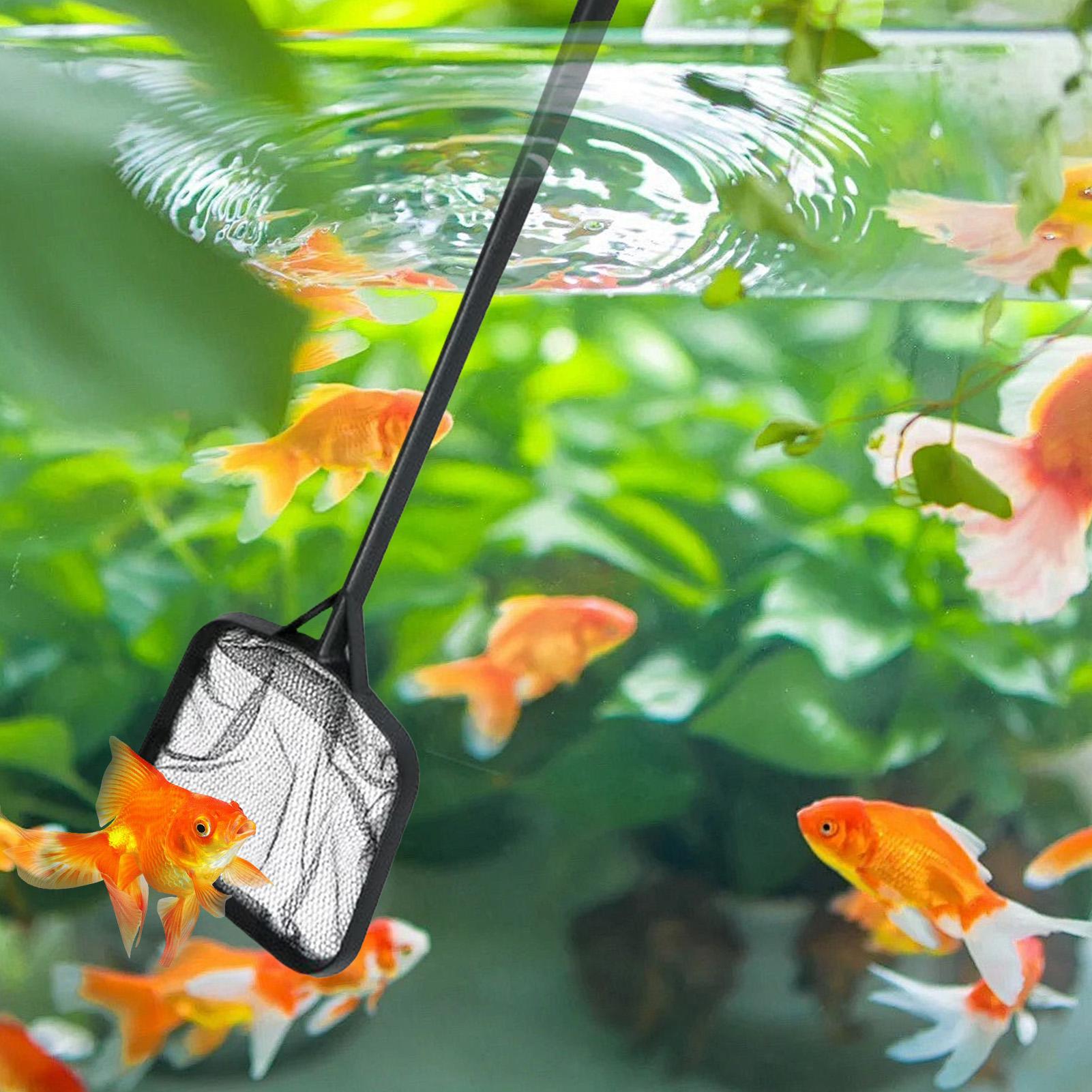 Pool Nets for Cleaning Portabl - Marine Aquarium ulasan dan harga