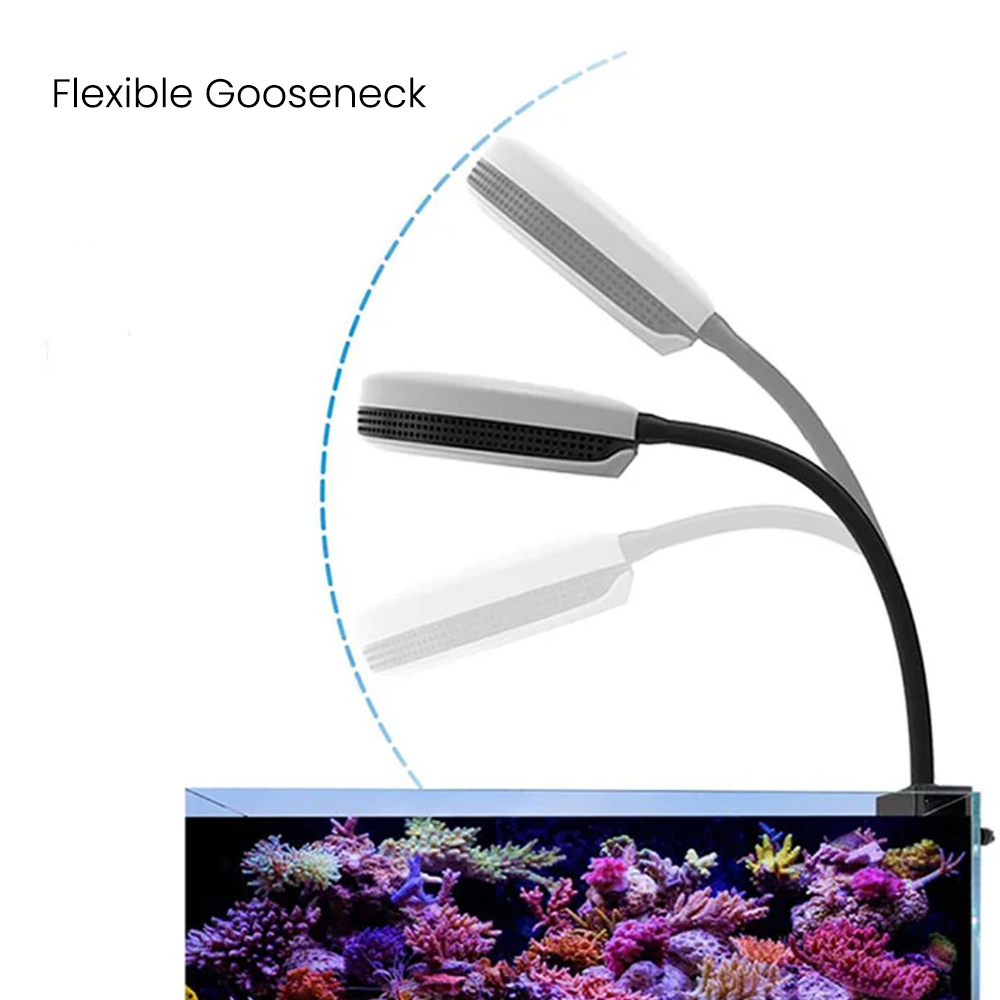 Spectra SP20 20W Aquarium LED  - Reef Lighting ulasan dan harga