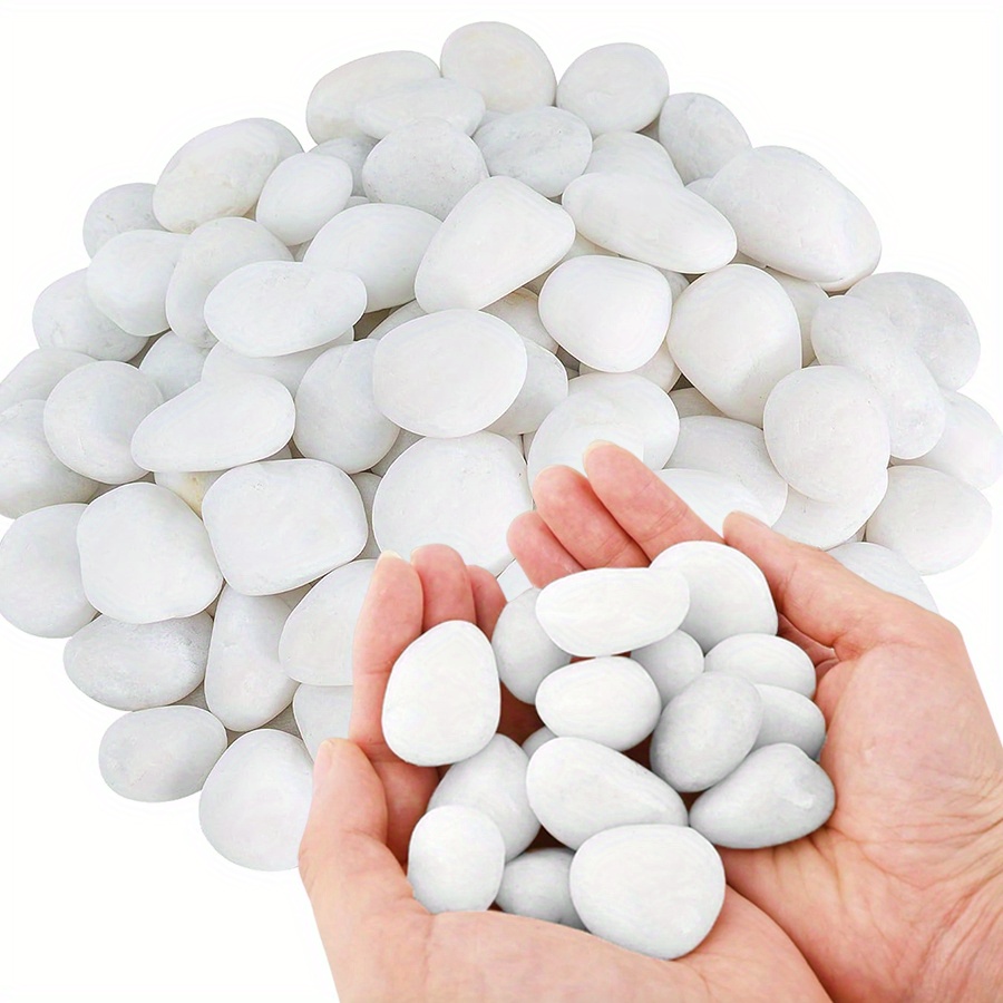 200/400g White High Polished N - Marine Fish Tank ulasan dan harga