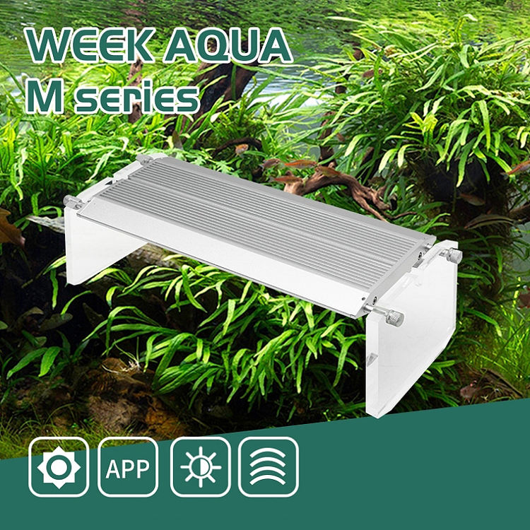 WEEK AQUA Aquarium Led Vivid L - Reef Lighting ulasan dan harga