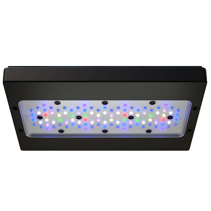 A8 PRO III Max and Blue 245W F - Reef Lighting ulasan dan harga